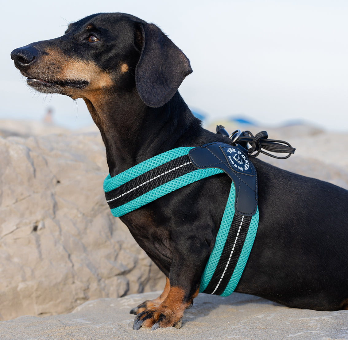 Tre Ponti Easy Fit Geschirr in Rot mit atmungsaktivem Mesh