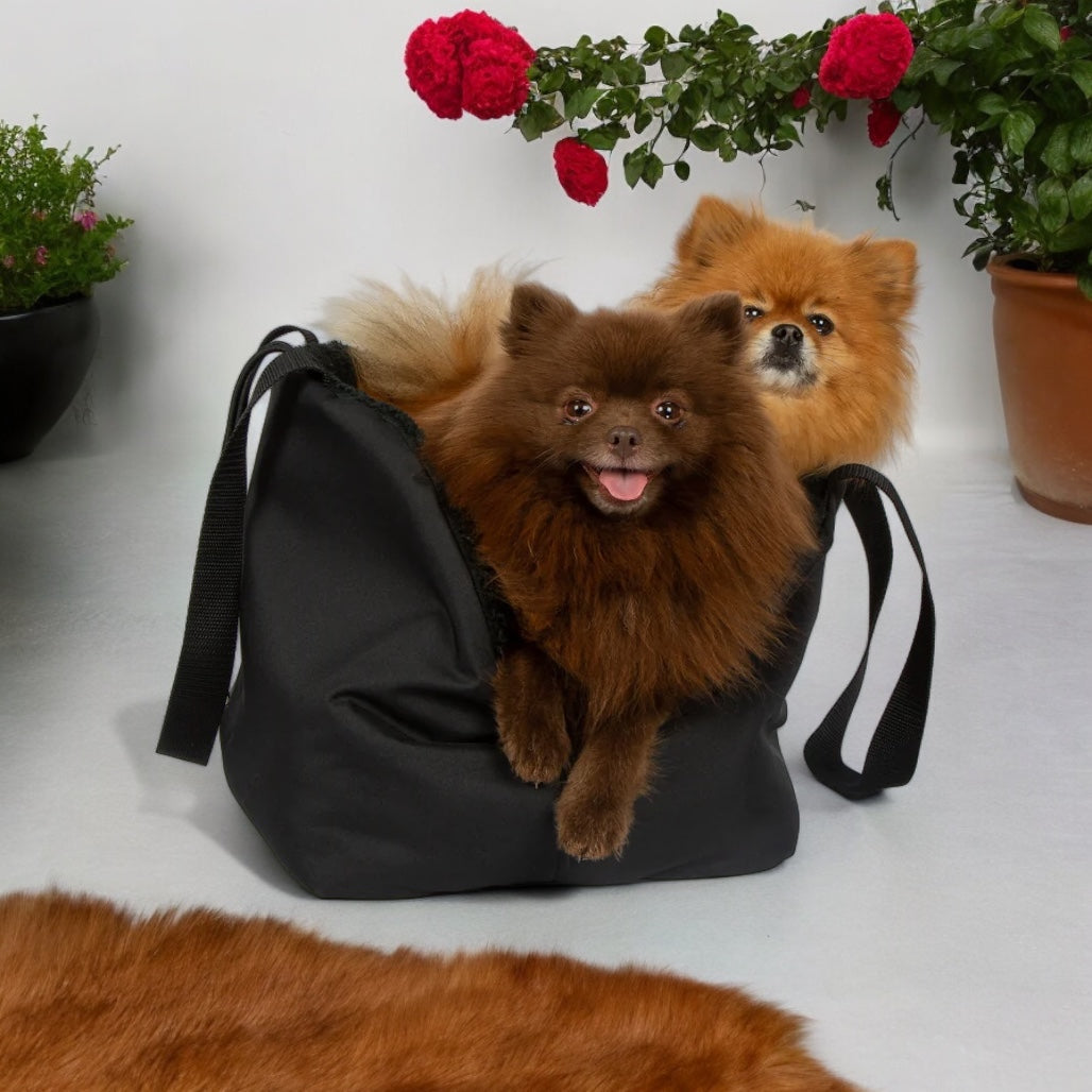 Soho Poms Luxury Rainy Bear Hundetragetasche in Schwarz