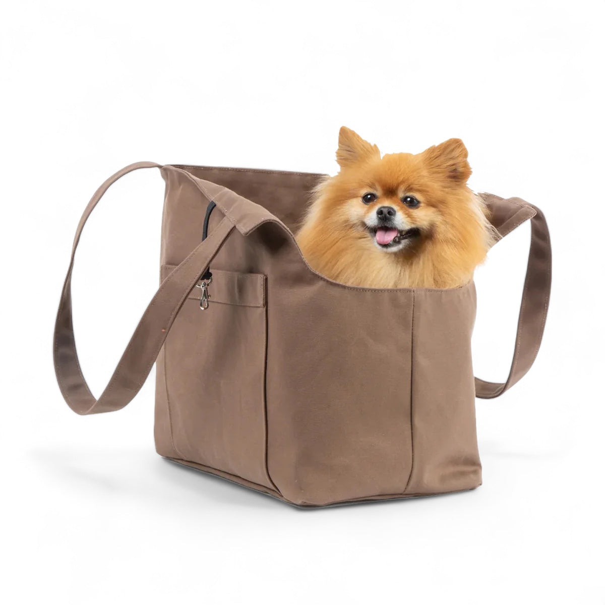 Pomeranian purse carrier hotsell