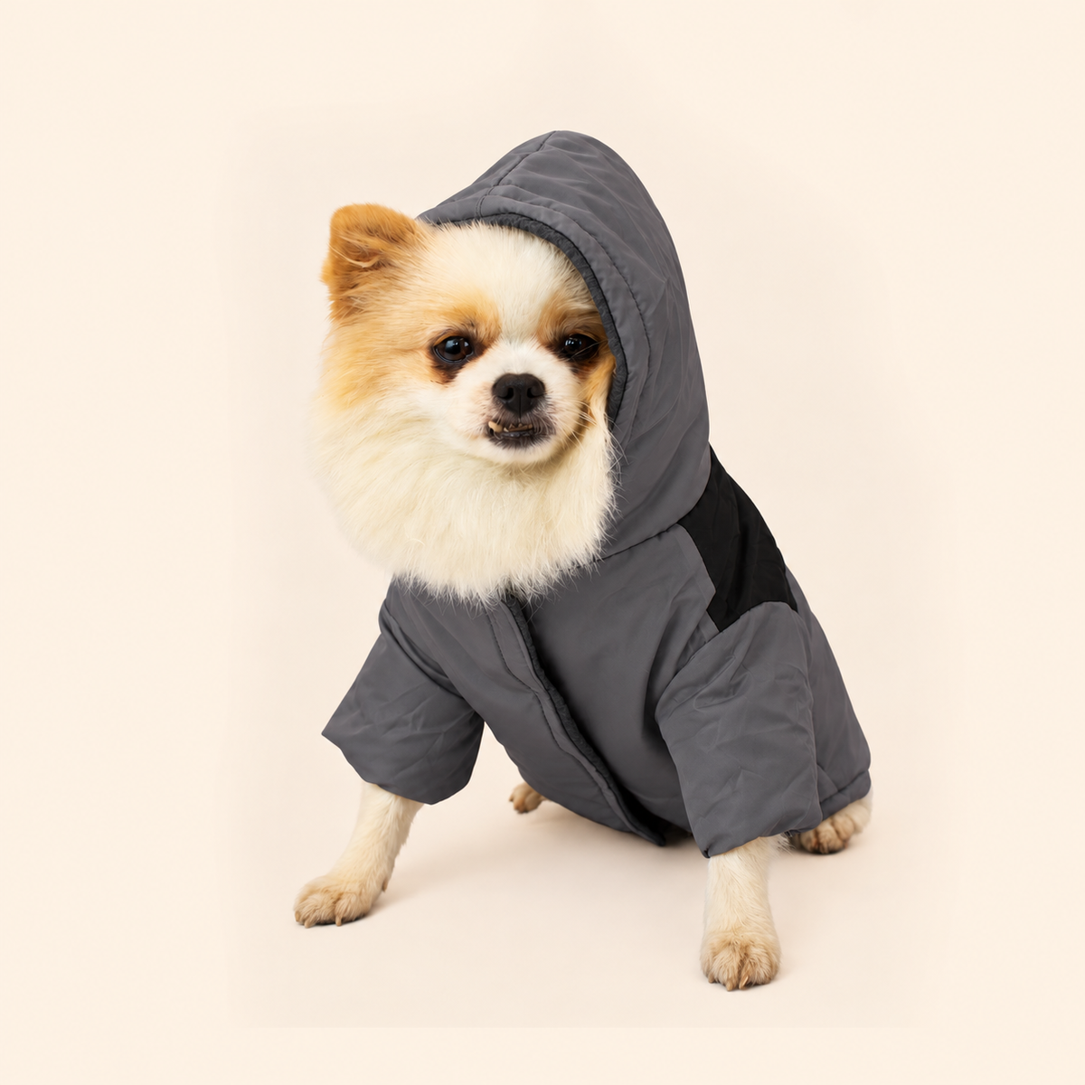 Charcoal Grey | Padded Waterproof Jacket