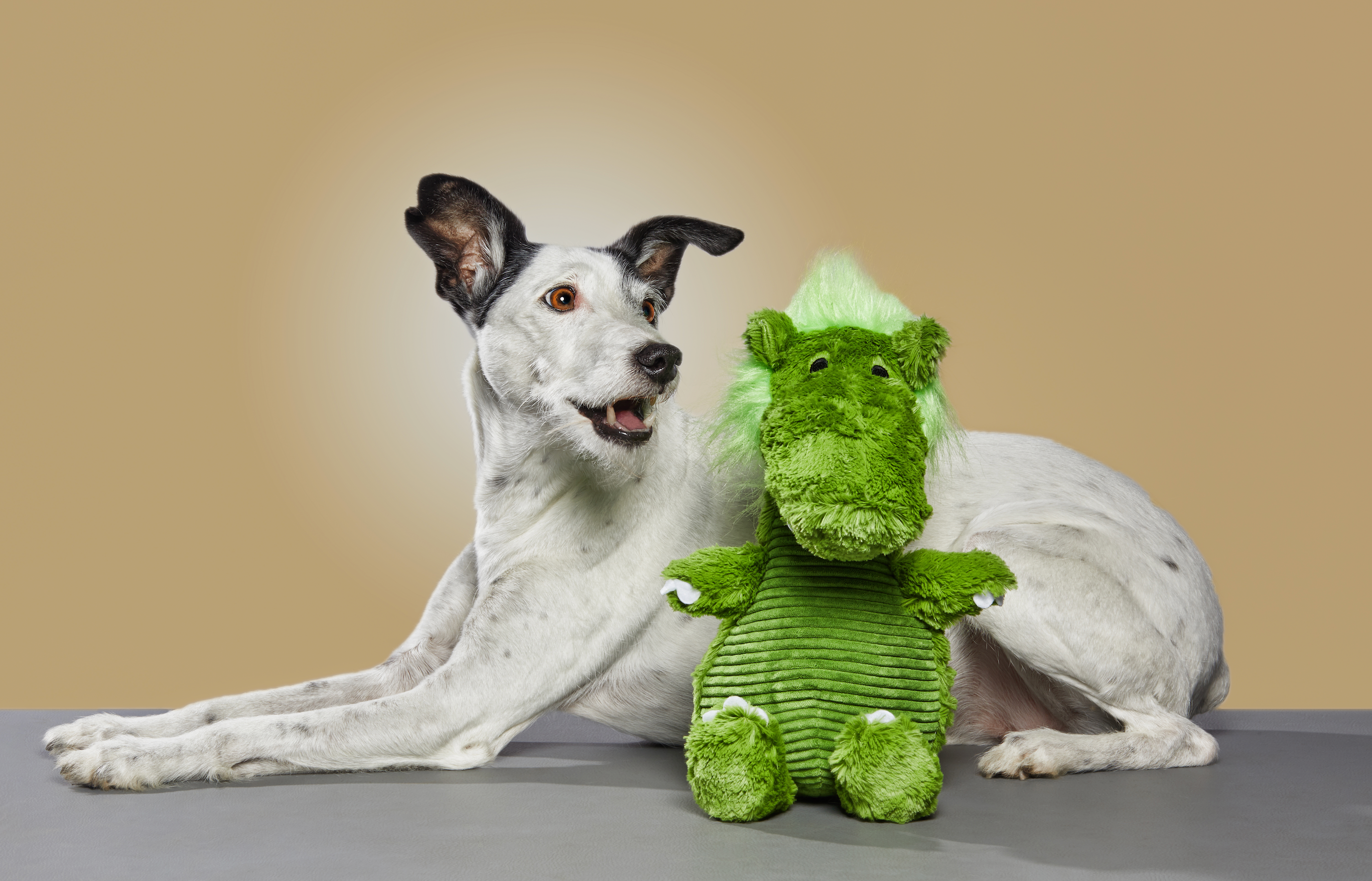 Sully Plush Gloria Dog Toy Large