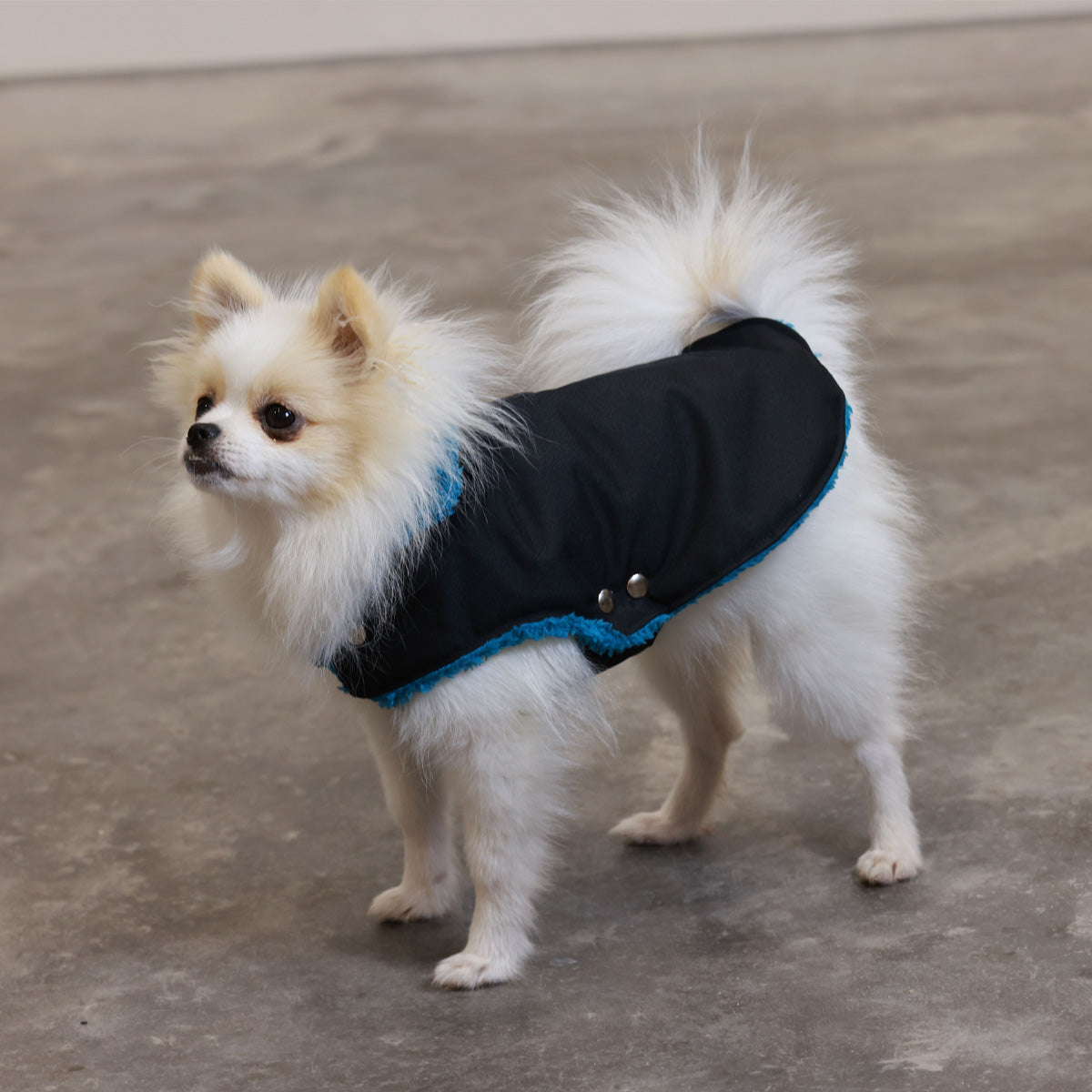 Soho Poms Teddy Bear Jacke wasserabweisend in Schwarz und Petrol