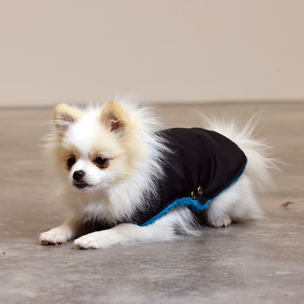 Soho Poms Teddy Bear Jacke wasserabweisend in Schwarz und Petrol