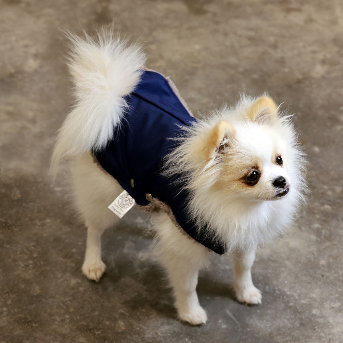 Soho Poms Teddy Bear Hundejacke wasserabweisend in Blau und Cappuccino