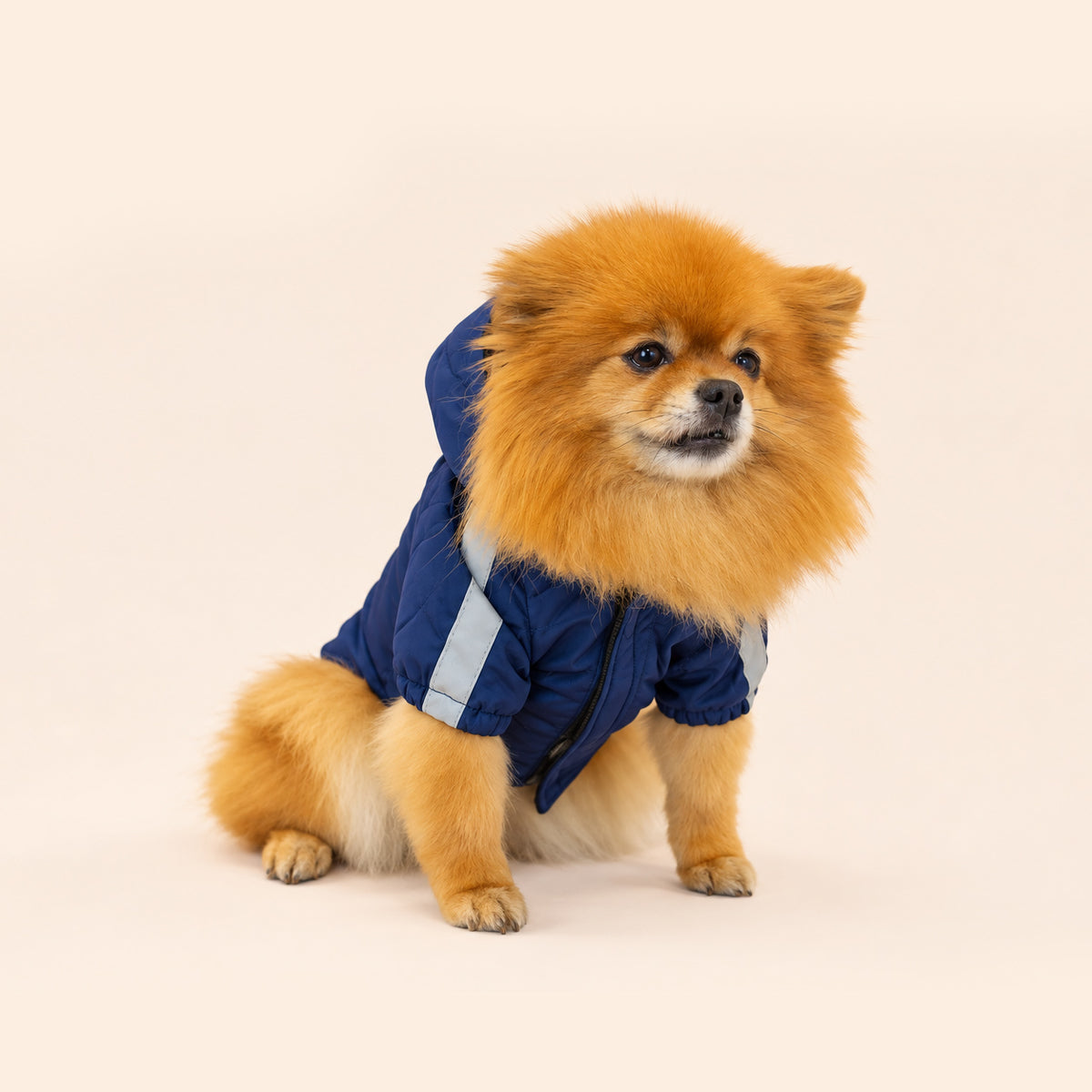 Navy Blue | Padded Waterproof Jacket