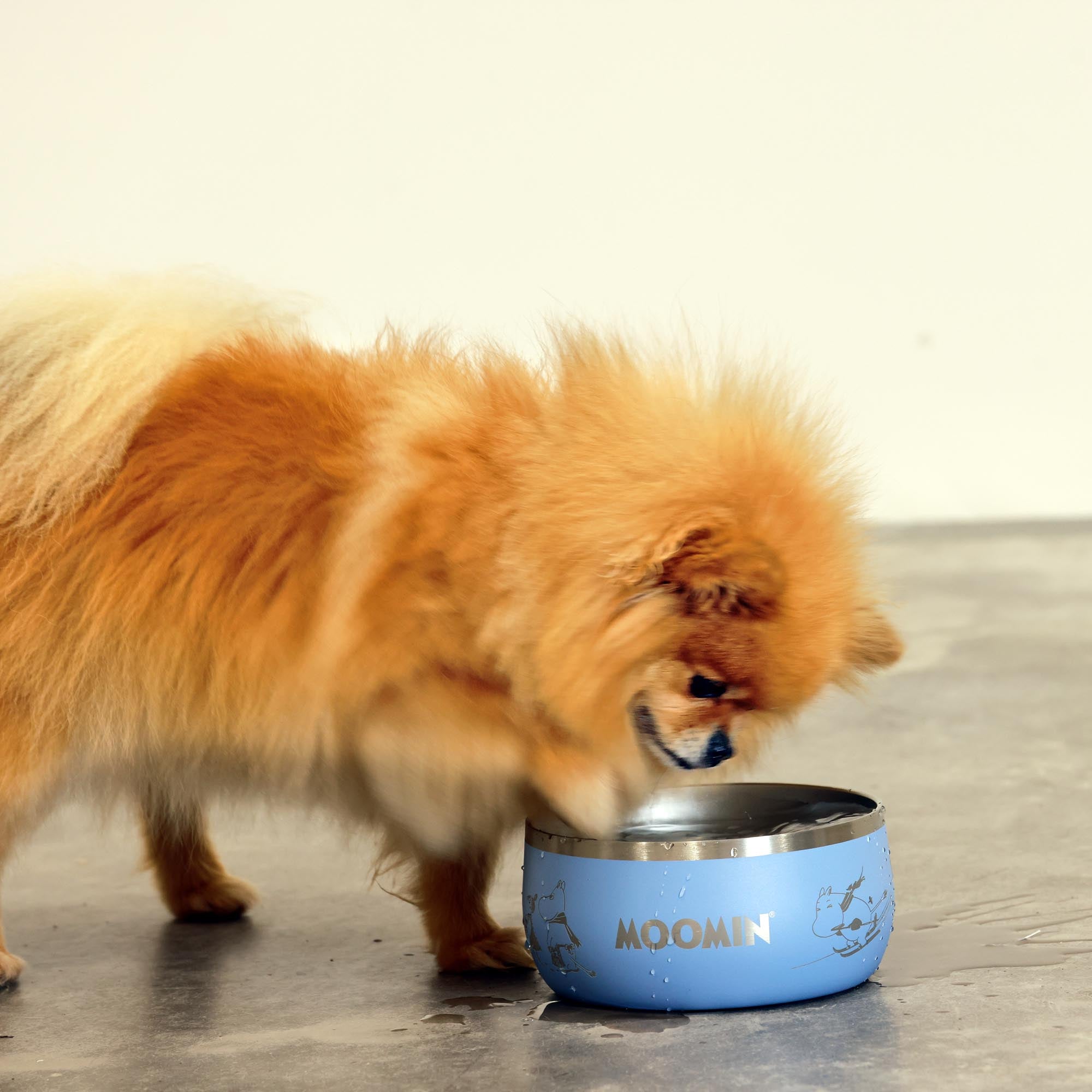 Moomins Blue Lunar Hundenapf von Soho Poms
