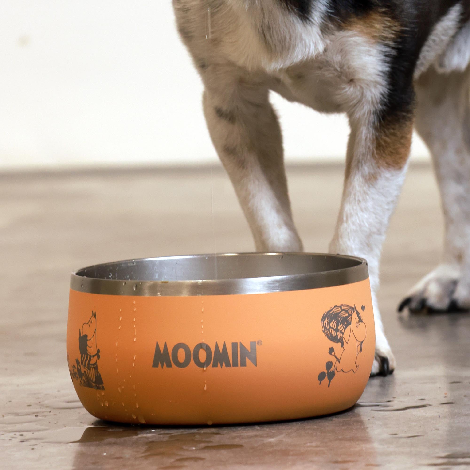 Moomins Peach Lunar Hundenapf von SohoPoms