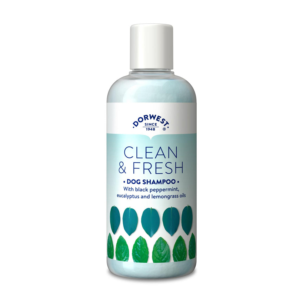 Shampooing Dorwest propre et frais 250 ml