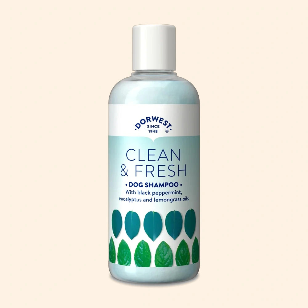 Dorwest Clean and Fresh Shampoo 250ml