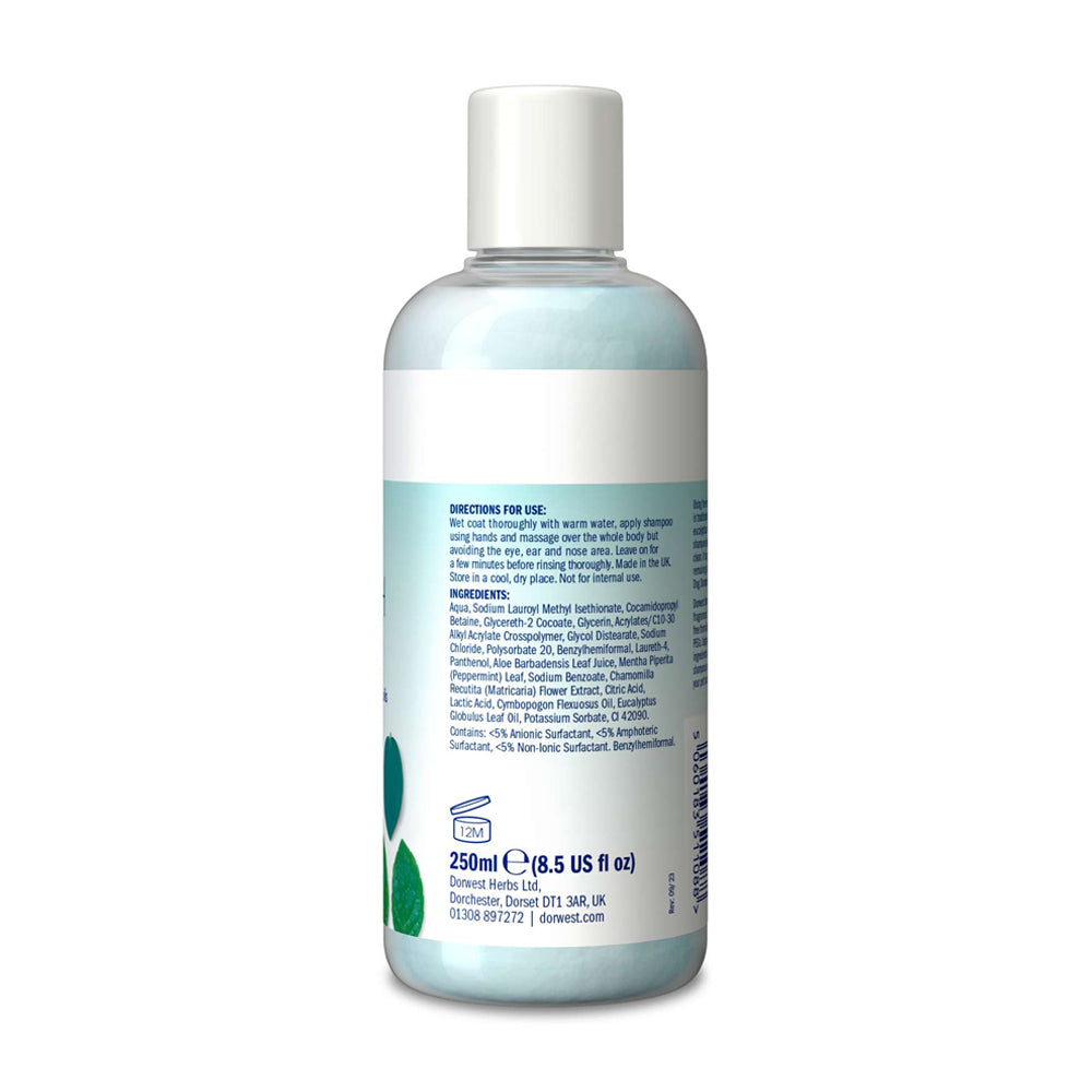 Shampooing Dorwest propre et frais 250 ml