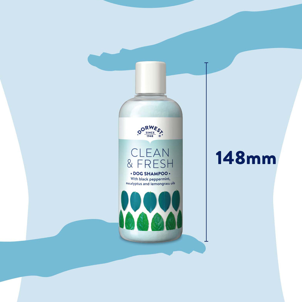 Shampooing Dorwest propre et frais 250 ml