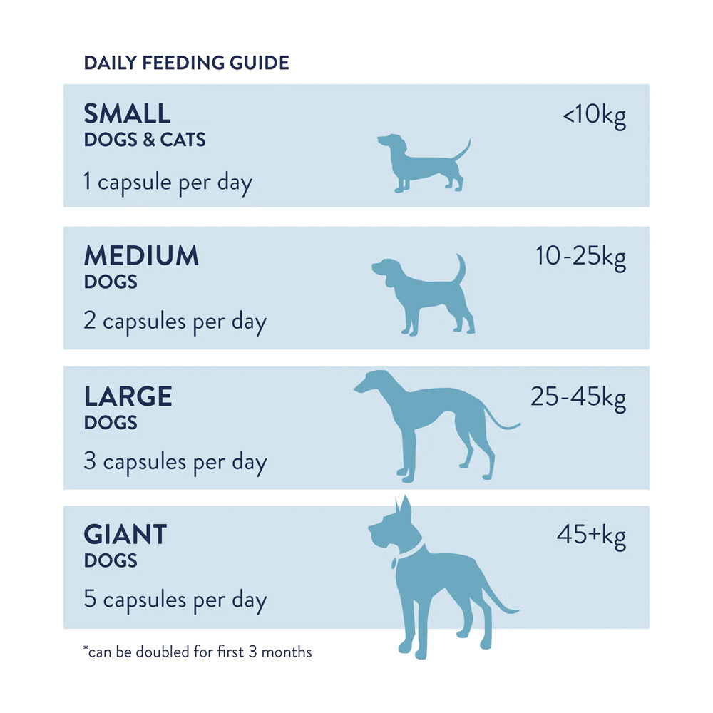 JointWell onglets Chiens et chats « Support des articulations »