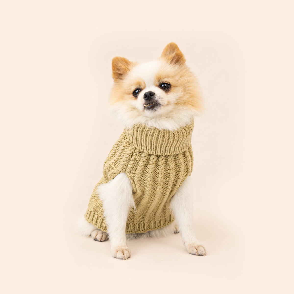 Pull pour chien ASPEN bleu de Bowl & Bone