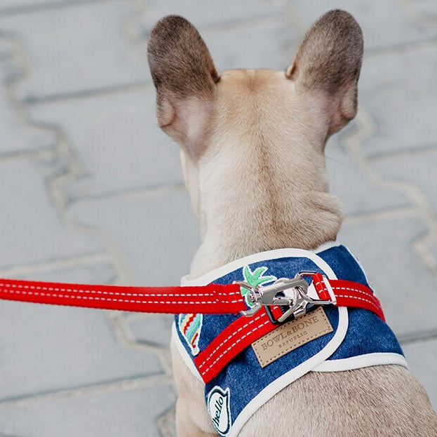 Harnais pour chien DENIM bleu de Bowl & Bone