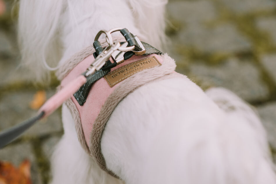 Grey YETI Dog Harness from Bowl & Bone