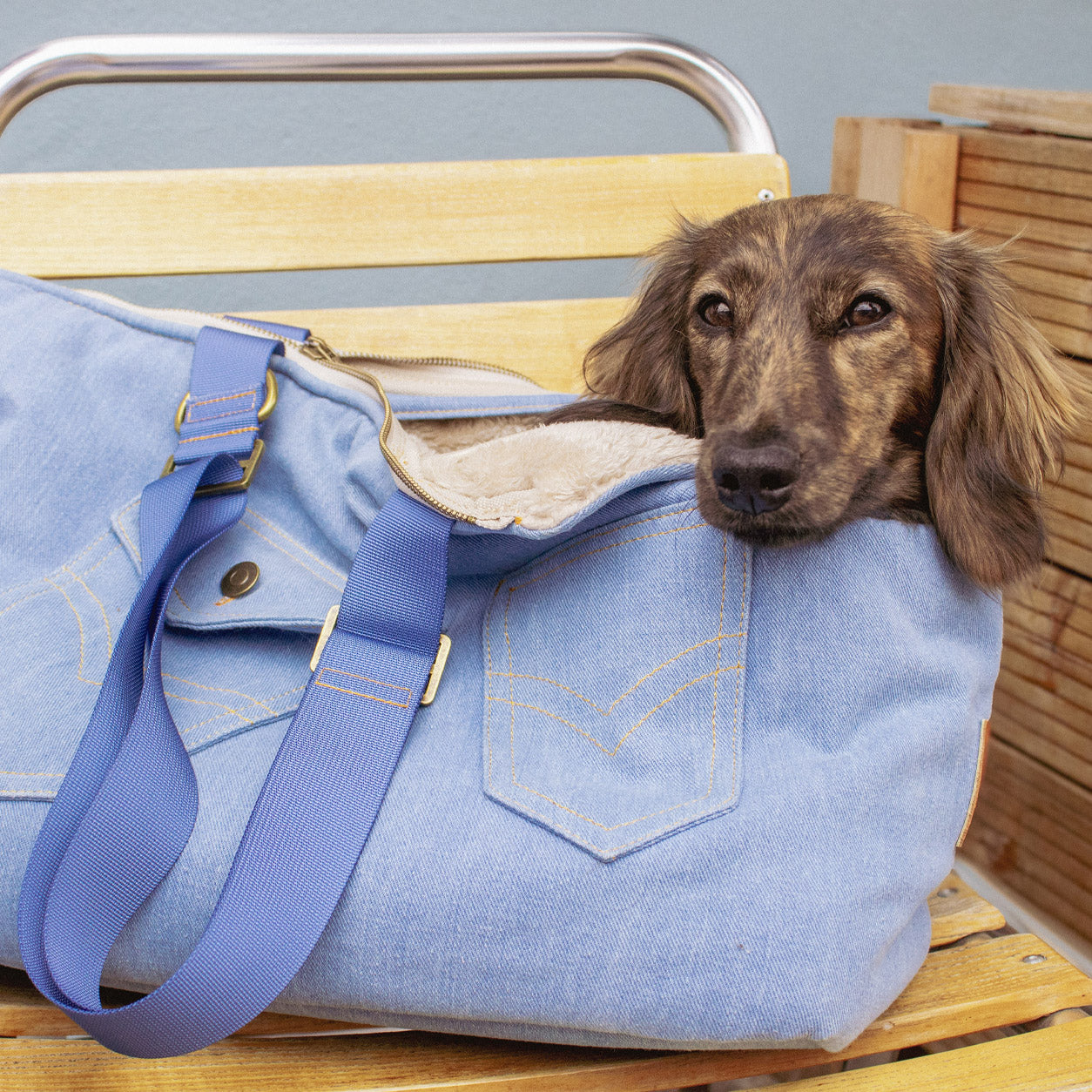 Vintage Wash | Frith Dog Carrier