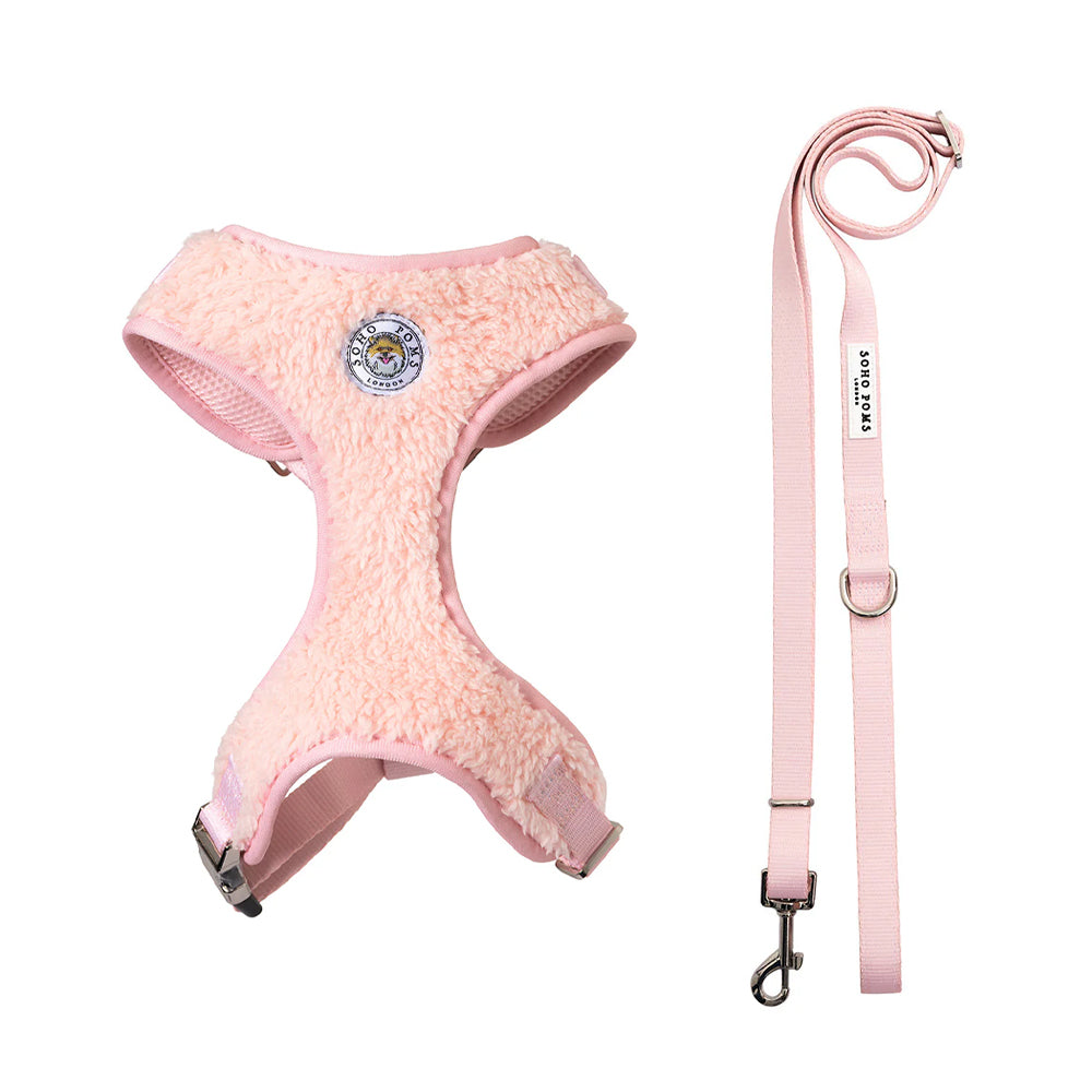 Carnaby Blush Rose Harness and Lead Set