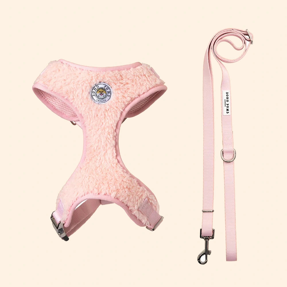 Carnaby Blush Rose Harness and Lead Set