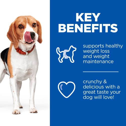 Hills Science Plan Healthy Weight Dog Treats