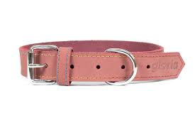 Gloria Pets Pink Oasis Padded Collar