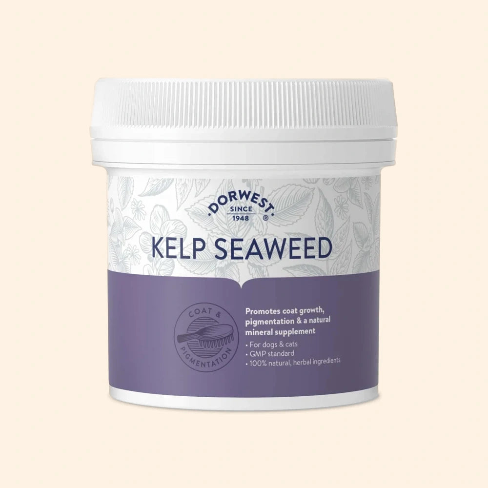 Dorwest Kelp Seaweed Powder For Dogs And Cats