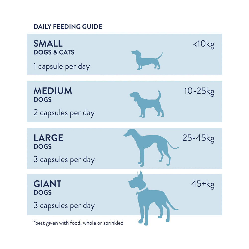JointWell onglets Chiens et chats « Support des articulations »