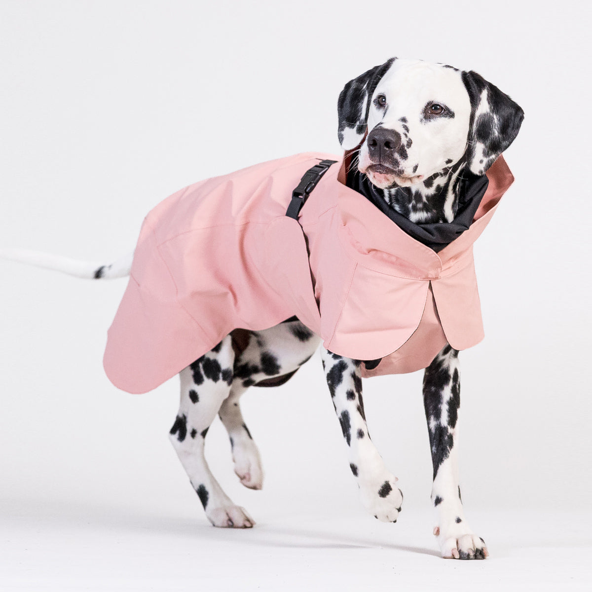 PAIKKA Reflektierender & Wasserdichter Hunderegenmantel Lite in Pink