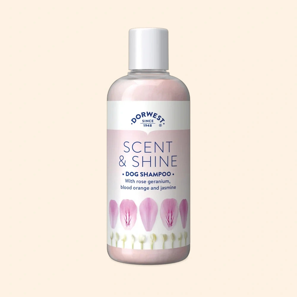 Dorwest Scent & Shine Shampoo For Dogs