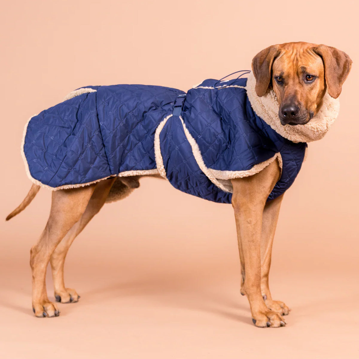 PAIKKA Reflektierender & Wasserdichter Hunderegenmantel Lite in Pink