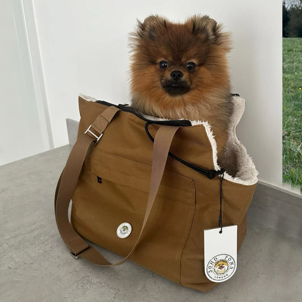 Suzy's Fashion Rainy Bear Hundetragetasche in Schwarz und Rosa