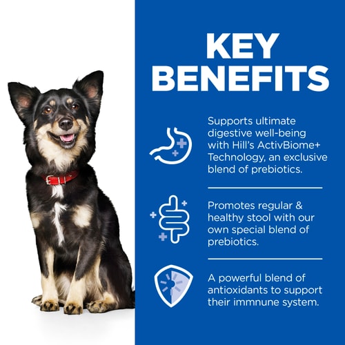 Hills Science Plan Perfect Digestion Adult Small & Mini Breed Dog Mousse with Turkey