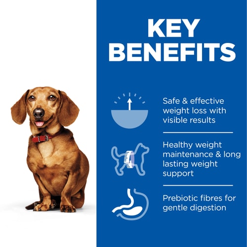 Hills Science Plan Perfect Weight Adult Small & Mini Breed Dry Dog Food with Chicken