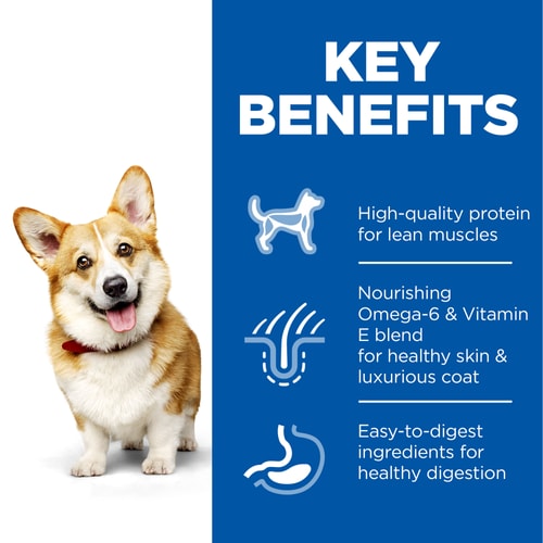 Hills Science Plan Adult Small & Mini Breed Dry Dog Food with Chicken