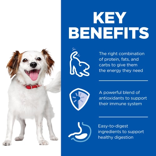 Hills Science Plan Small & Mini Breed Adult Dog Mousse with Chicken