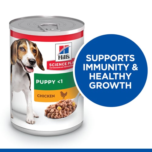 Hills Science Plan Puppy Wet Dog Food with Chicken