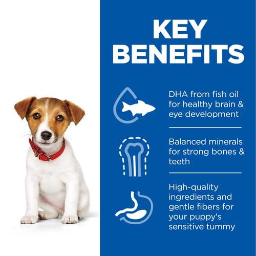 Hills Science Plan Puppy Small & Mini Breed Dry Food with Chicken