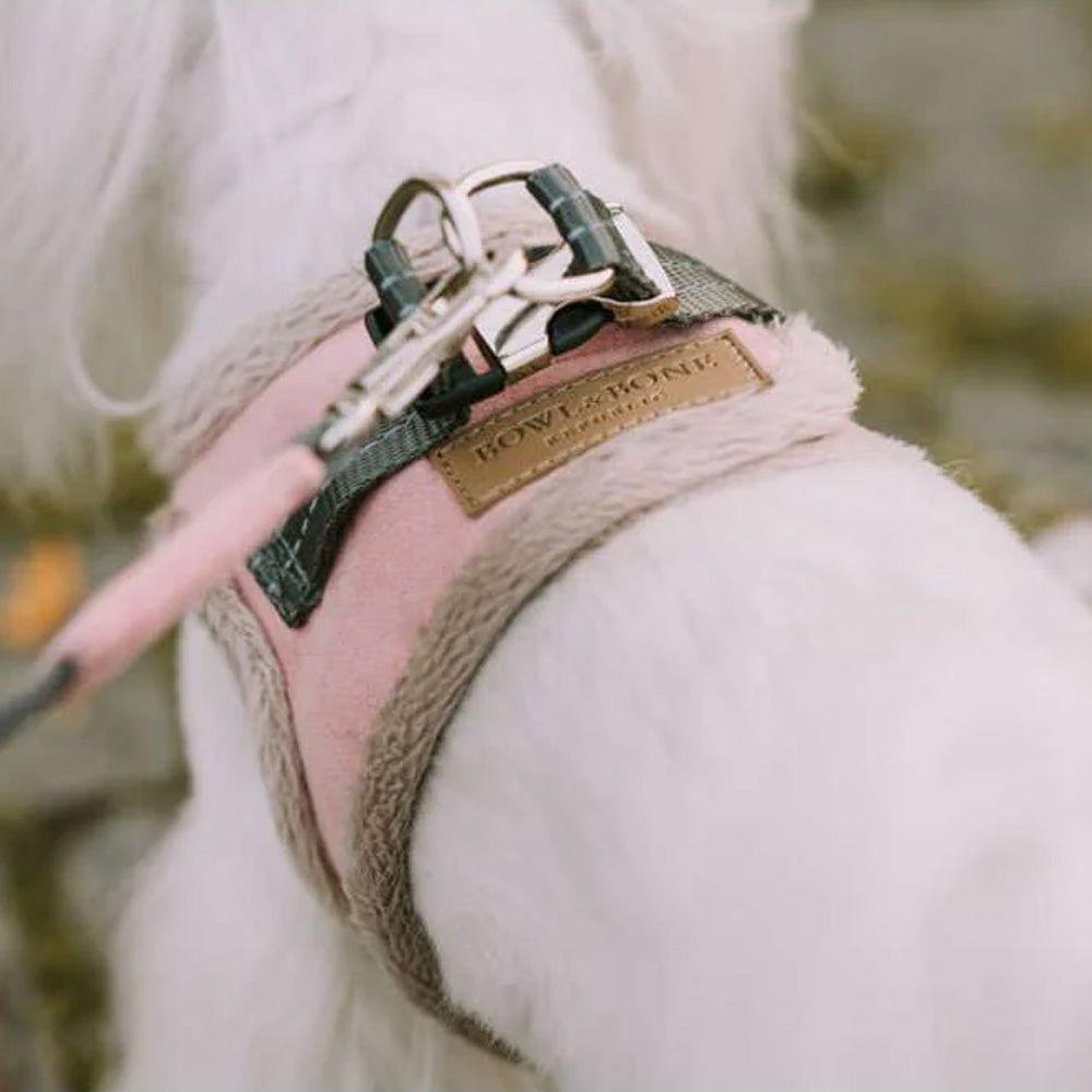 Harnais pour chien crème YETI de Bowl & Bone
