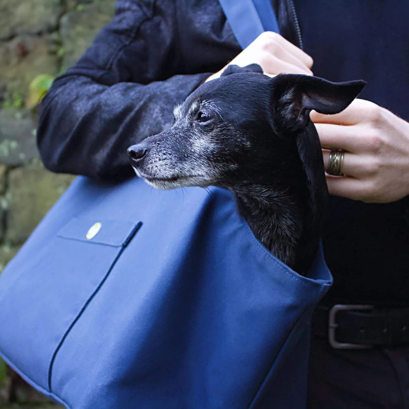 Rainy Poms Waxed Cotton Dog Carrier in Navy by Soho Poms