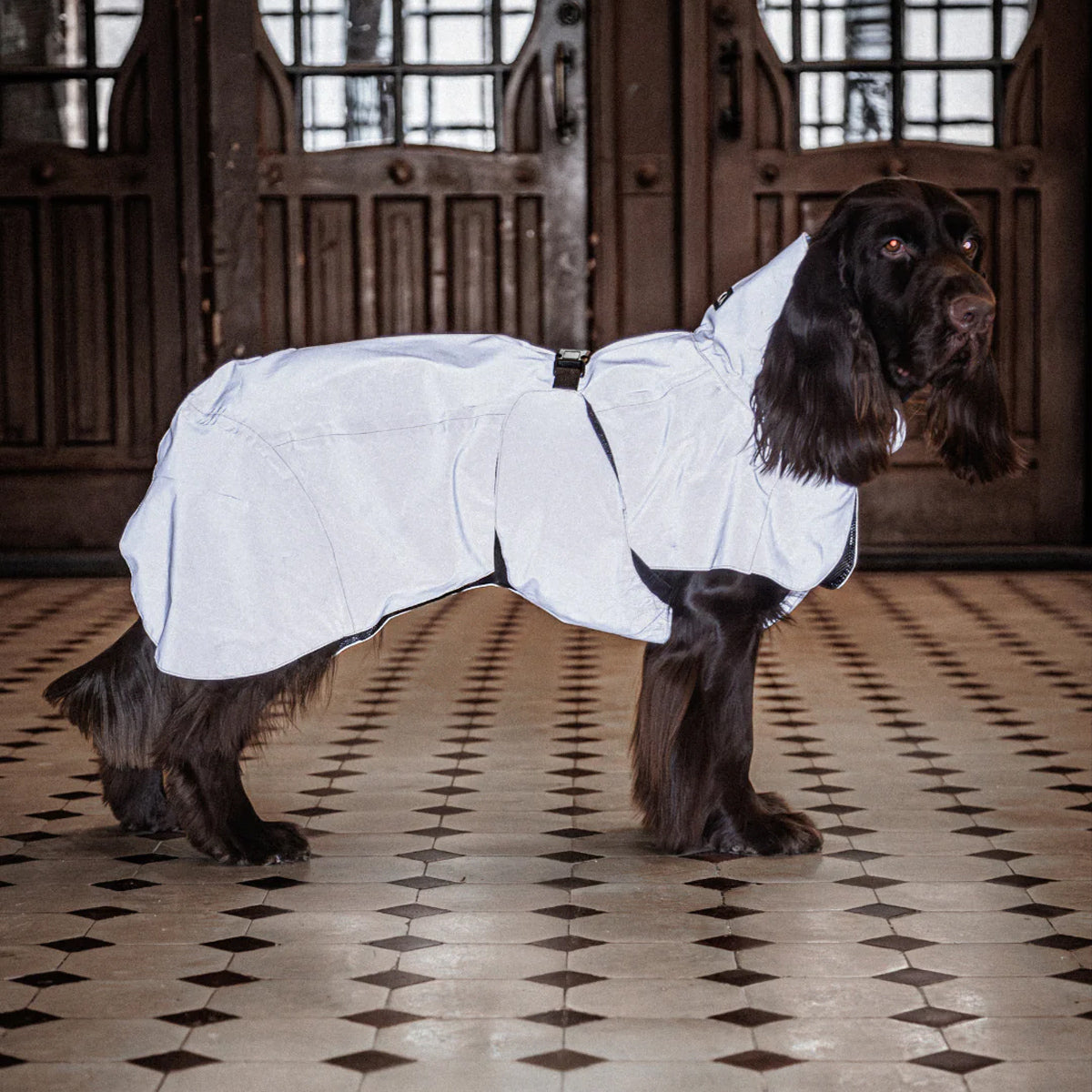 PAIKKA Reflektierender & Wasserdichter Hunderegenmantel Lite in Pink