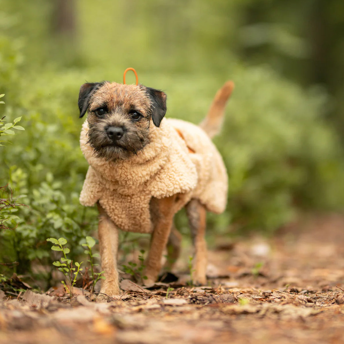 PAIKKA Sherpa Shirt for Dogs - Taupe