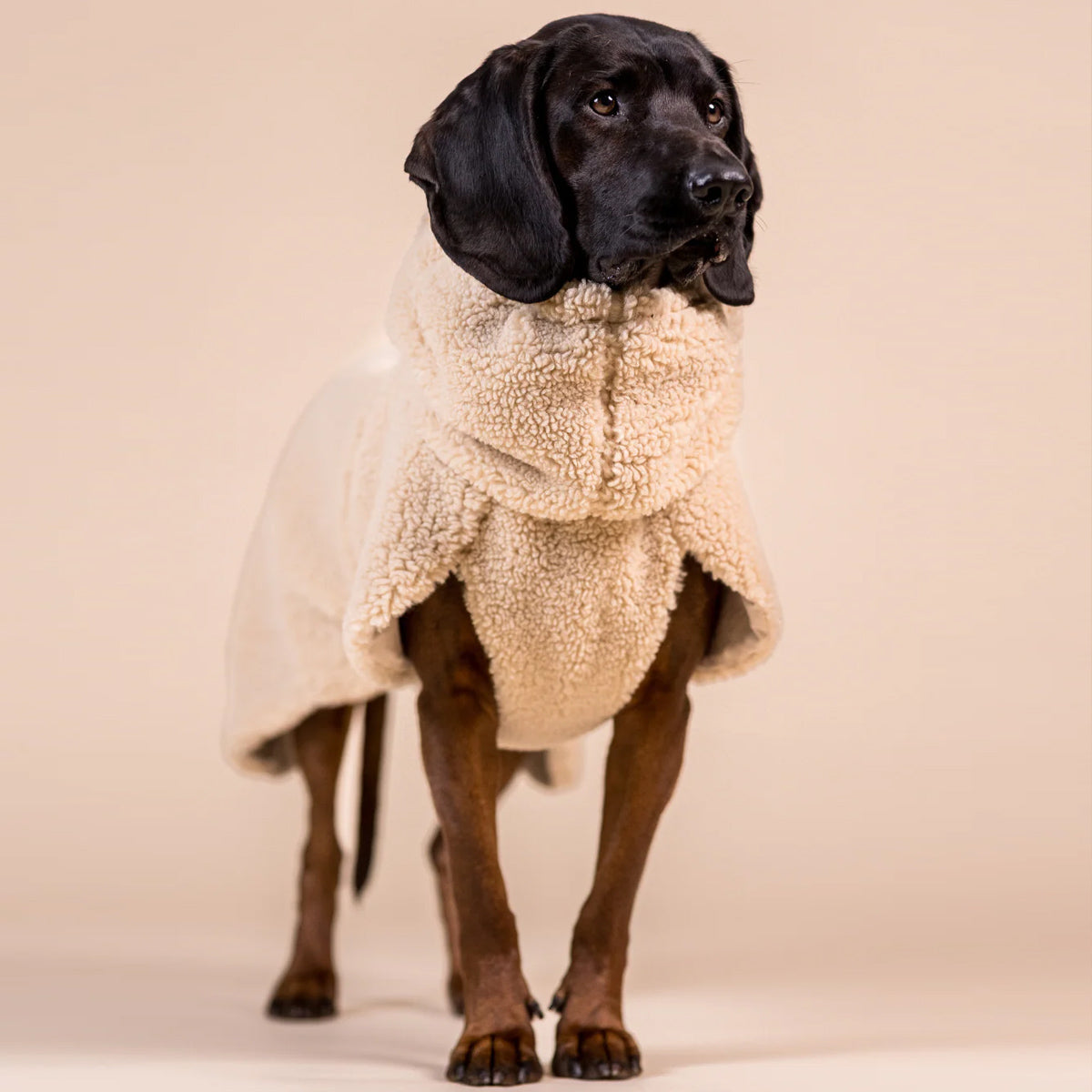 PAIKKA Sherpa Shirt for Dogs - Taupe