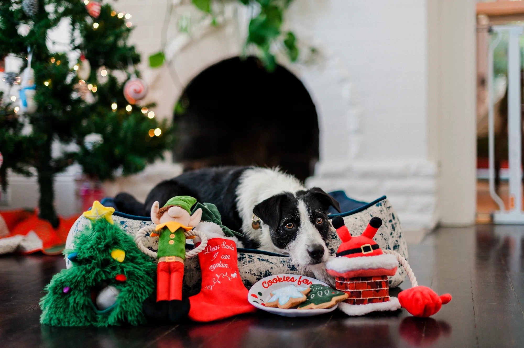 Christmas Dog Toy Merry Woofmas Clumsy Santa