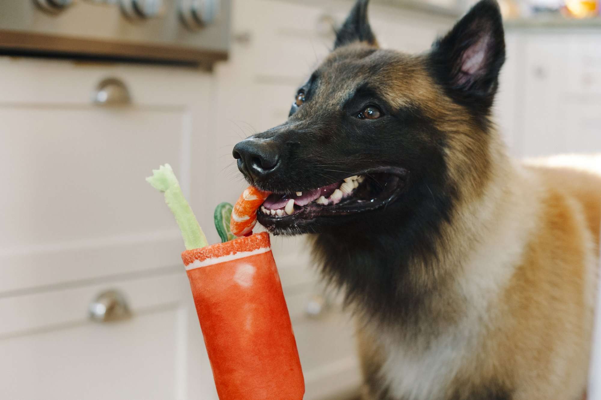 Barking Brunch Buddy Mary Plüsch-Hundespielzeug