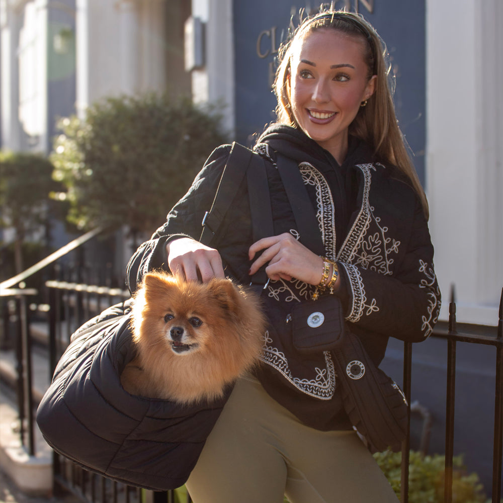 Midnight Black | Wardour Dog Carrier