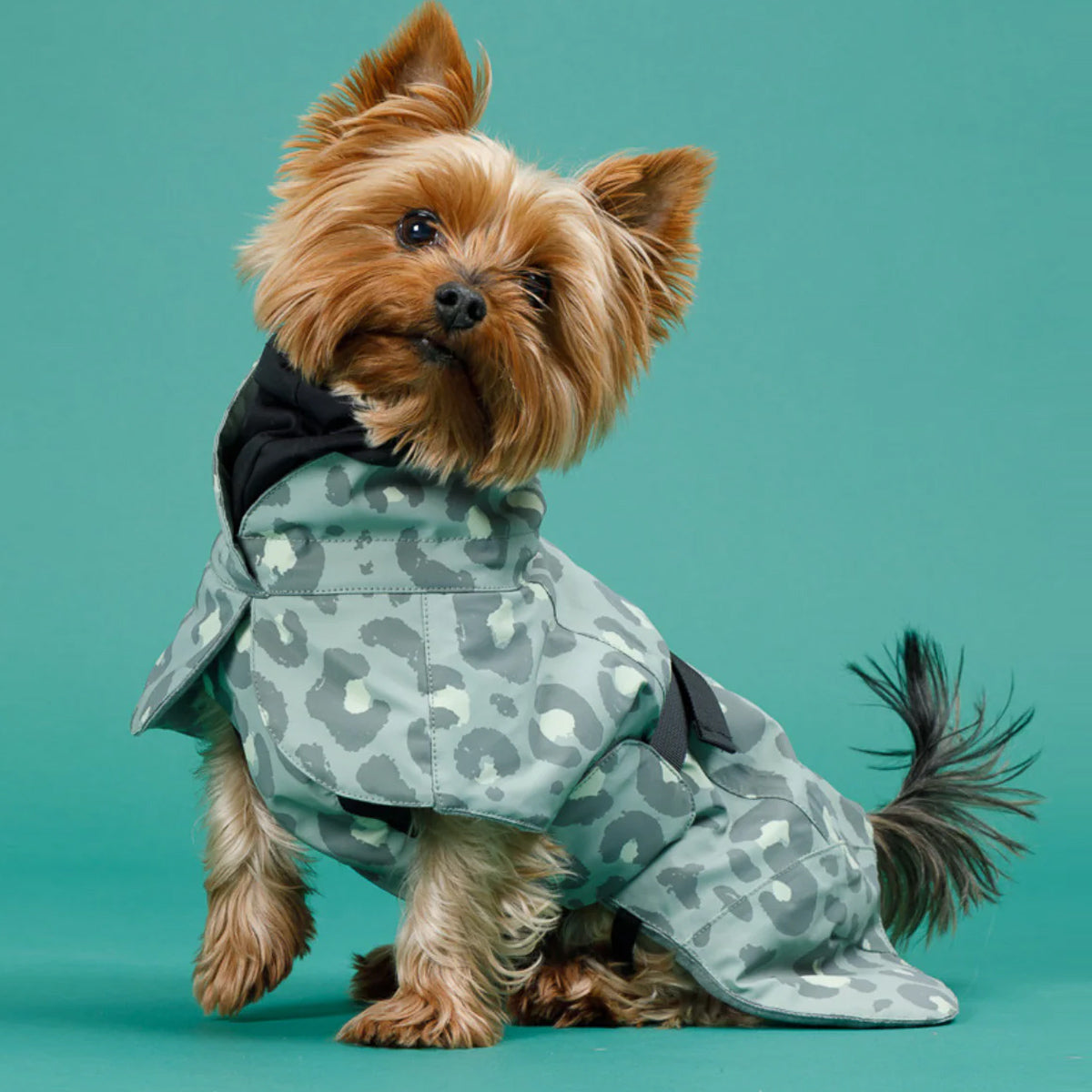 PAIKKA Reflektierender & Wasserdichter Hunderegenmantel Lite in Pink