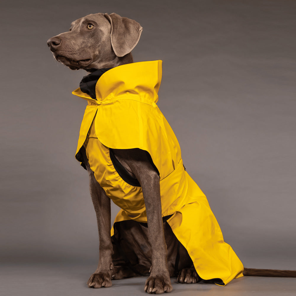 PAIKKA High Visibility Dog Lite Raincoat - Yellow