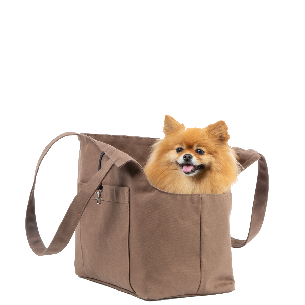 Pomeranian store purse carrier