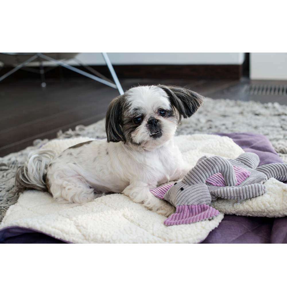 Sac de couchage pour chien Lily DREAMY de Bowl & Bone