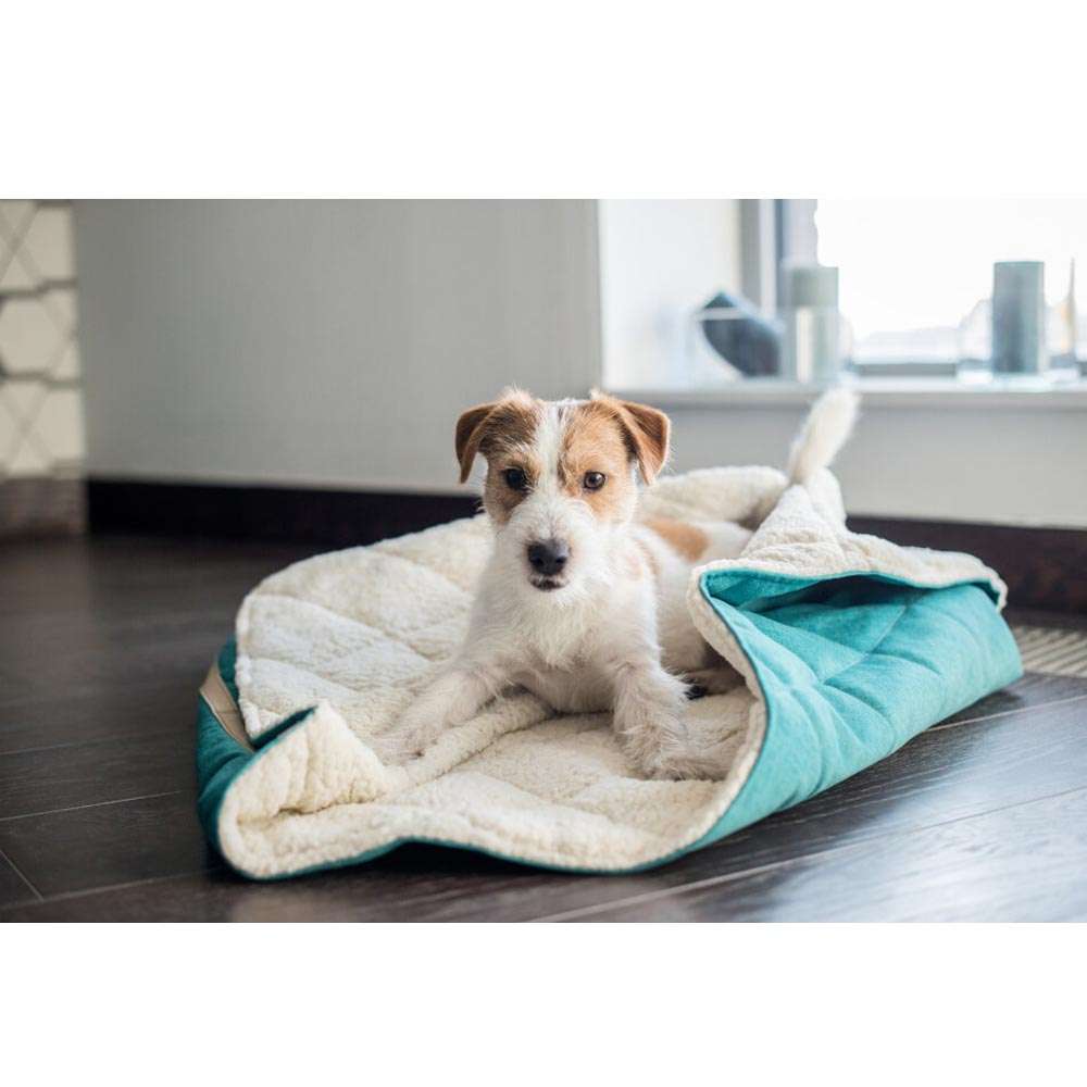 Sac de couchage pour chien Mint DREAMY de Bowl & Bone