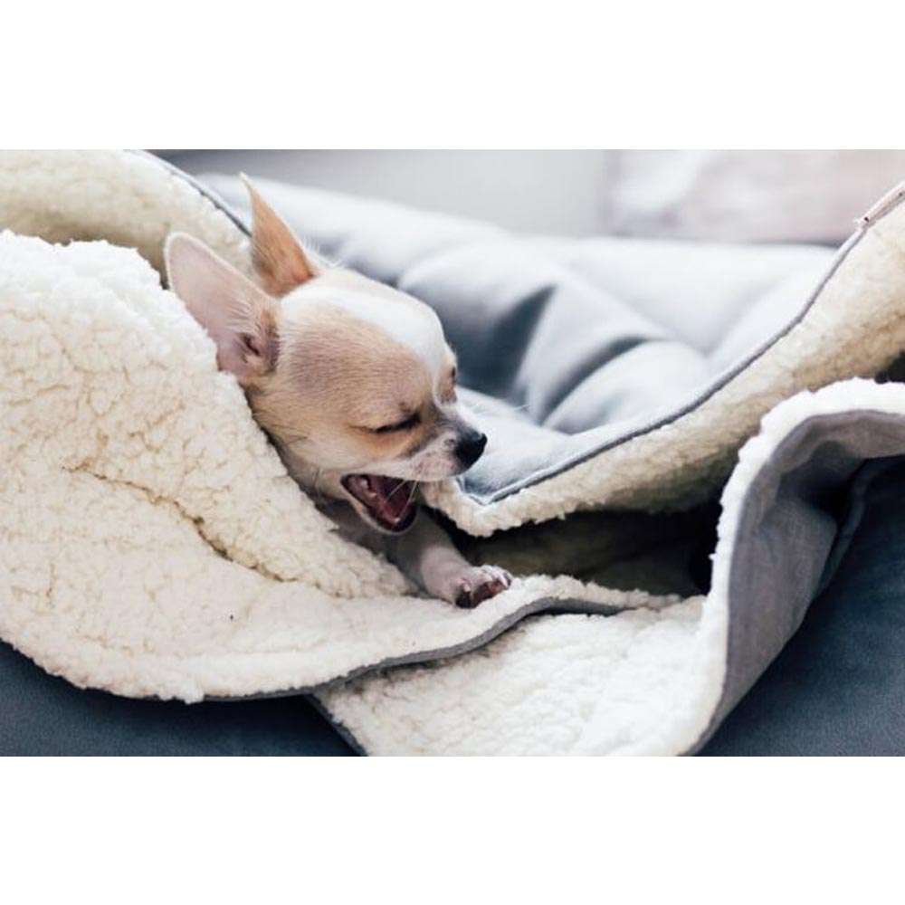 Sac de couchage pour chien DREAMY argenté de Bowl & Bone
